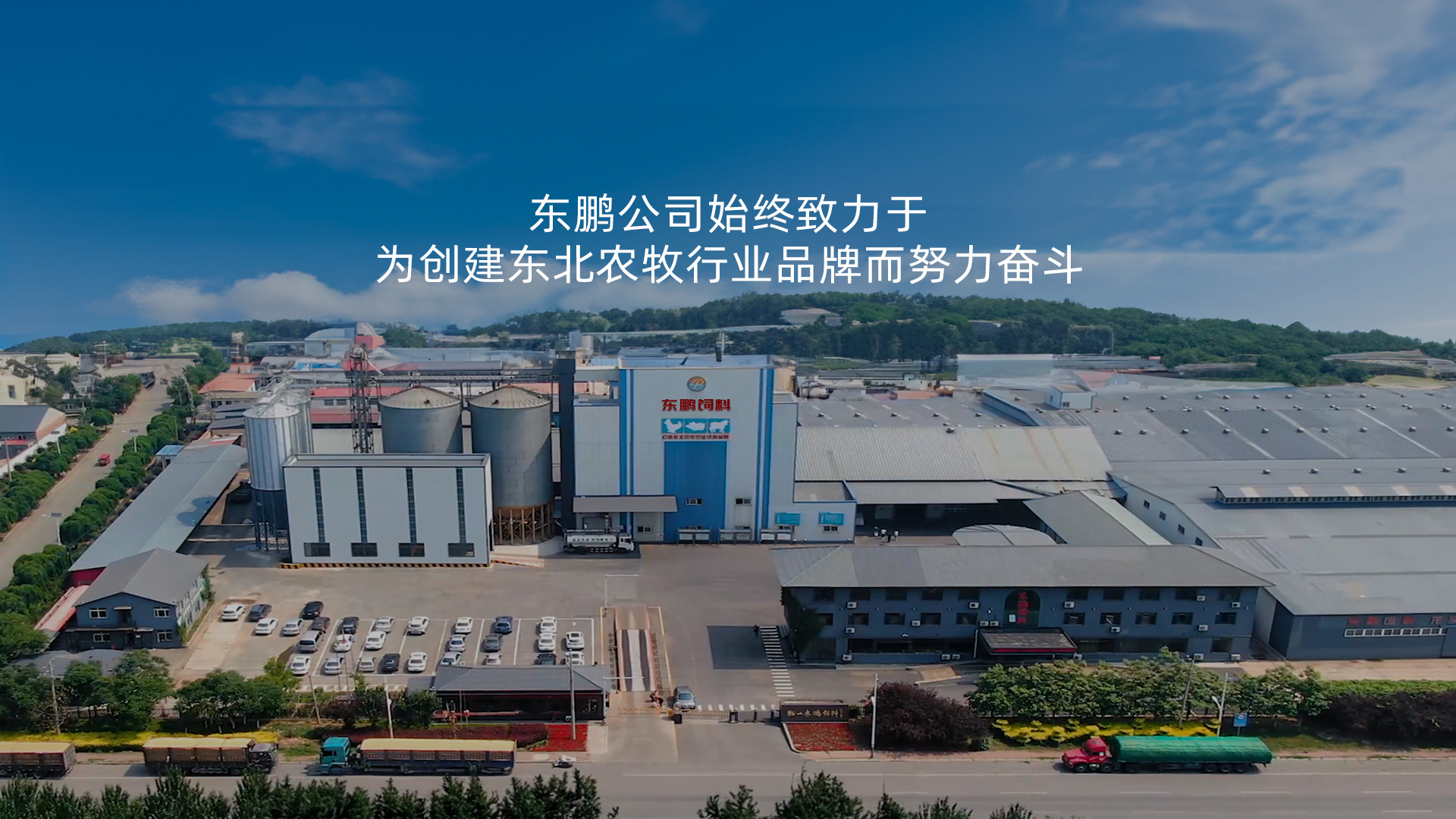 抚顺饲料
